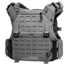 Load image into Gallery viewer, Sub-Zero Plate Carrier